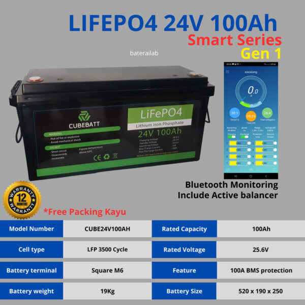 Baterai Lifepo4 12V 100Ah Cycle Life 2000++